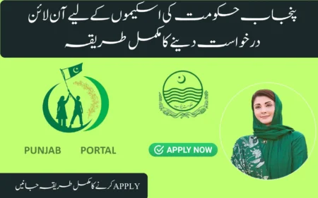How to Apply for Punjab Government Schemes Online how to apply for punjab government schemes online