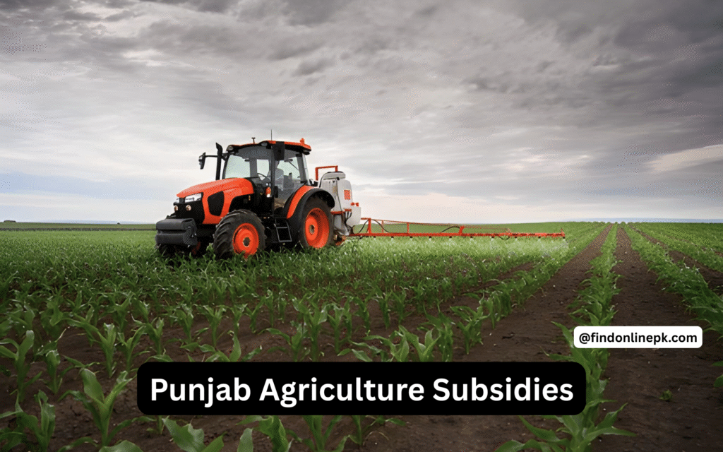 punjab agriculture subsidies