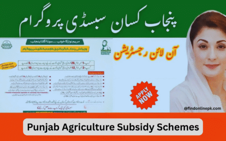 punjab agriculture subsidy schemes