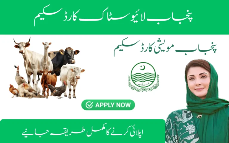 Punjab Livestock Card Scheme: Interest-Free Loans for Farmers punjab livestock card scheme