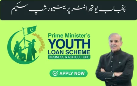 punjab youth entrepreneurship scheme
