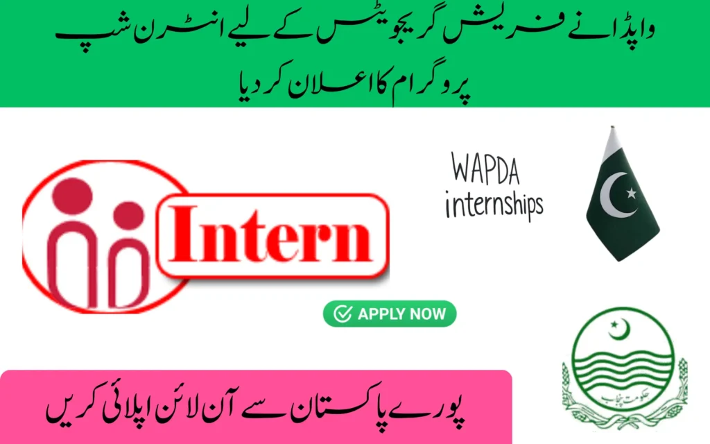 wapda paid internship