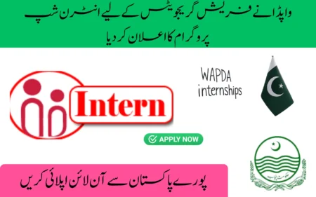 wapda paid internship