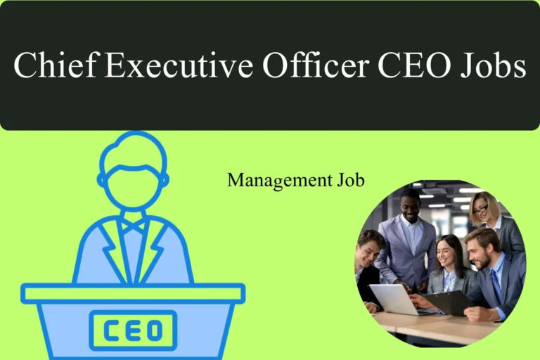 chief executive officer ceo jobs