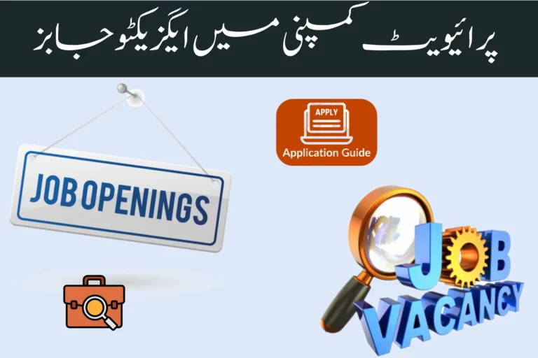 private company executive jobs