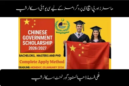 cui scholarship for masters & phd programs