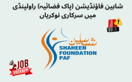 Government Jobs at Shaheen Foundation PAF Rawalpindi 2026 government jobs at shaheen foundation paf rawalpindi