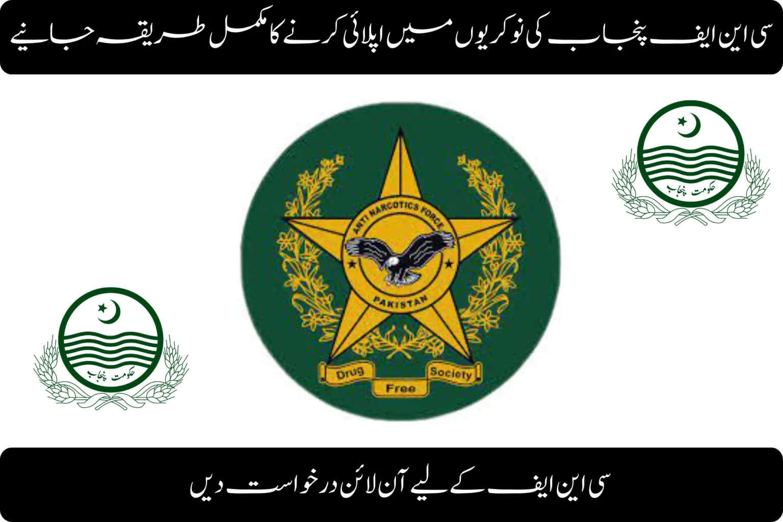 How to Apply for CNF Punjab Jobs 2026 – A Complete Guide how to apply for cnf punjab jobs