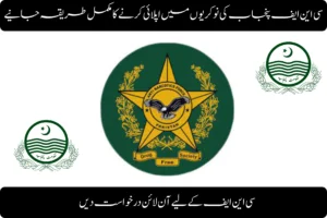 how to apply for cnf punjab jobs