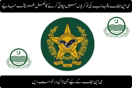 How to Apply for CNF Punjab Jobs 2026 – A Complete Guide how to apply for cnf punjab jobs