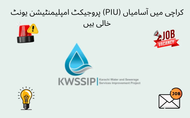 positions open at project implementation unit piu karachi