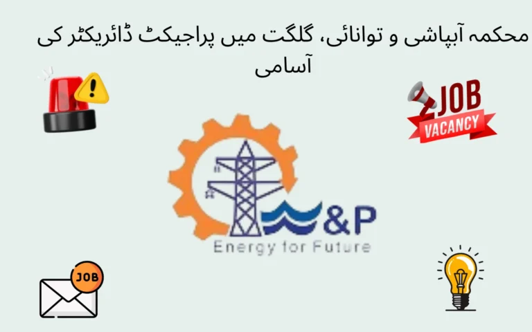 project director job at water and power department gilgit