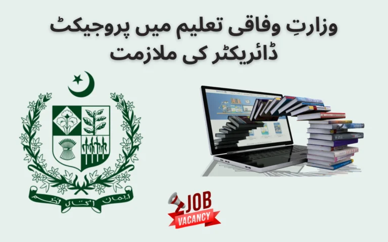 project director job in ministry of federal education