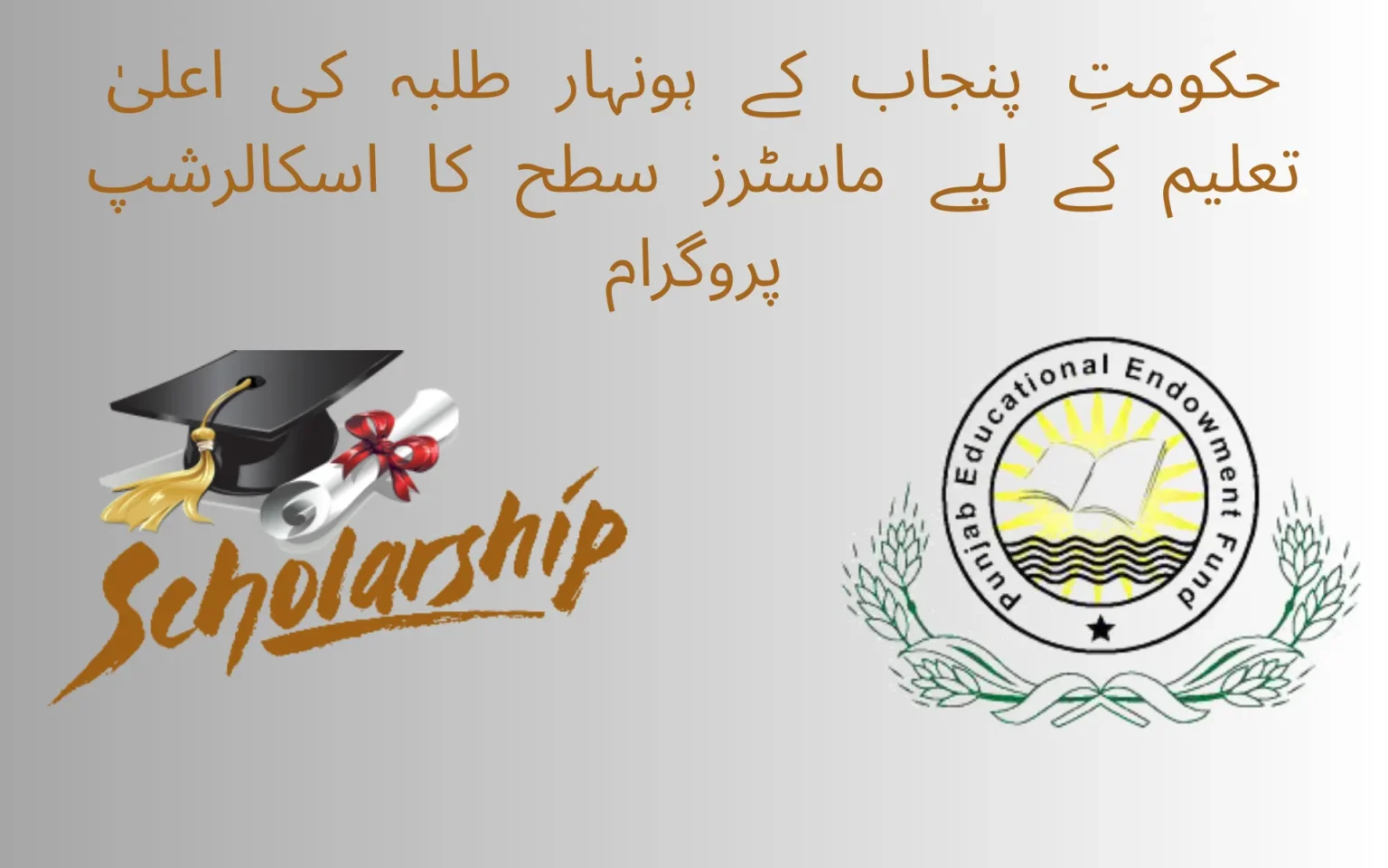 Punjab Educational Endowment Fund (PEEF) Scholarships 2025–26 punjab educational endowment fund (peef) scholarships